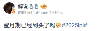 点掉太多了, amp