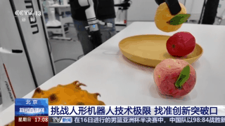 参赛, 些体育运动, 专门为人形